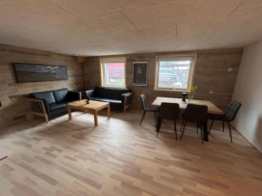 Brand new modern flat near city centre